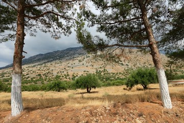 landscape of Cr&egrave;te , Greece 