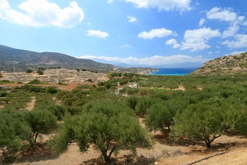 Fototapeta na wymiar Ruins of Gournia, Crete, Greece