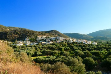 Fototapeta na wymiar village of Kalo Horio in Crète and his church , GREECE 