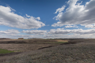 Fototapeta premium The movement of the thunderclouds over the fields of winter wheat