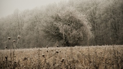 Snowy frozen landscape in winter while hiking