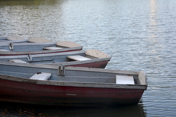 Fototapeta na wymiar Rot -Weiße Holz - Kanu - Boote liegen am Ufer eines Sees im Abendlicht