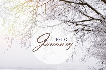 Hello January wallpaper, winter landscape with frozen, snowy forest