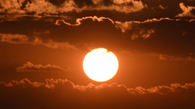 Big Sun and Birds going home on the evening.