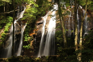 Naklejka premium 金引きの滝