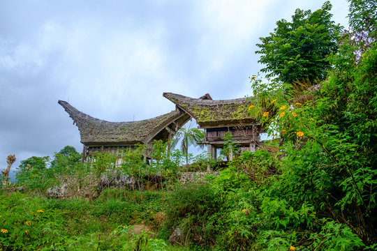 Case Tongkonan, edifici tradizionali dei Toraja