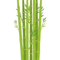 Fototapeta na wymiar Bamboo icon. Plant nature decoration and asia theme. Isolated design. Vector illustration
