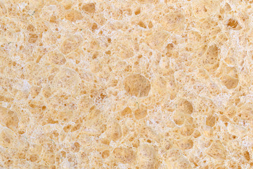 Close view of a cellulose sponge.