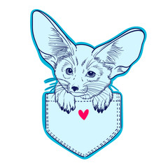 Cute animal in the pocket. Little fox Fennec. Children linear illustration for coloring book. To print T-shirts, bags or cover.