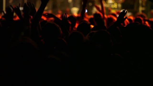 Footage of a crowd making party at a rock concert