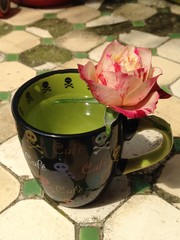 rose pied dans l'eau