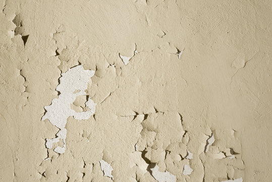Natural background. Wall with a shabby and peeling paint and plaster. Contrast and volume, white, beige.