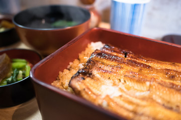 eel grilled top on hot rice, famous menu in japan