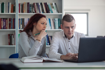 Beautiful redhead girl and handsome blond guy working on a proje