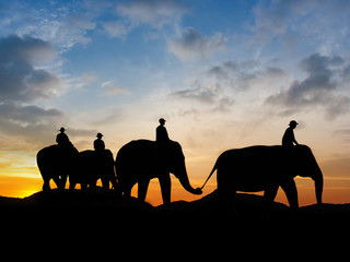 Fototapeta na wymiar Elephant at mountain on twilight