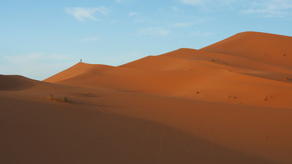 Fototapeta na wymiar Mensch steht auf Düne, Wüste, Dünen, Erg Chebbi, Marokko, Sahara