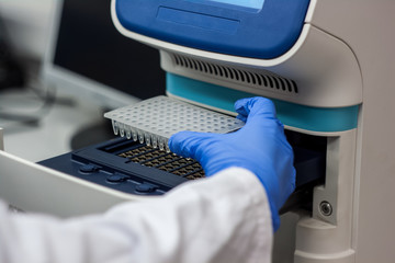 Scientist or researcher or phd student put dna samples into pcr