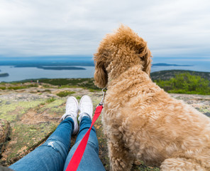 Cute Dog and Owner enjoy ocean view.