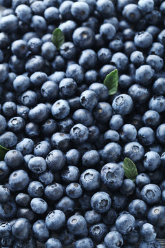 Ripe and tasty blueberries background