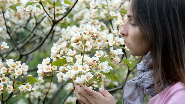 a young girl in a pink sweater and a bright scarf at the neck, smelling little white flowers tree (aleurites euphorbiaceae) in the spring before sunset in a Park 