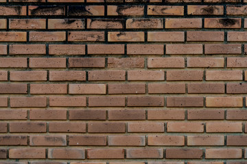 Brick wall texture