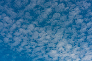 Fototapeta na wymiar Cloud with blue sky