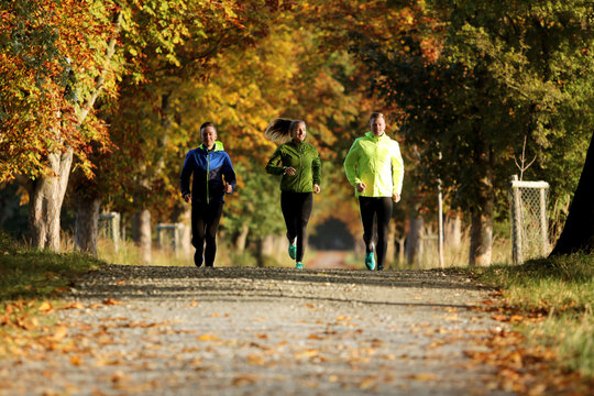 Gruppe von Freunden beim Lauf durch den herbstlichen Wald