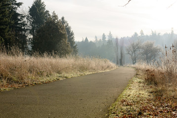 A view of foster floodplain Natural Area