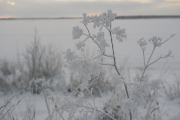 Зимней пейзаж, снег на сухой траве.