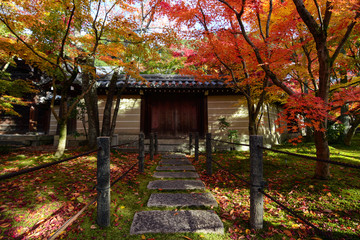 Fototapeta na wymiar Colorful autumn maple trees shading a path to a traditional Japanese gate in Kyoto