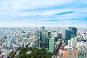 Business and culture concept - panoramic modern city skyline bird eye aerial view under dramatic sun and morning blue cloudy sky in Tokyo, Japan