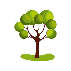 tree plant icon over white background. colorful design. vector illustration