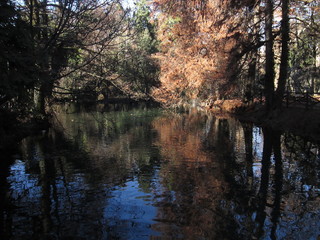 Laghetto del parco Sempione, Milano
