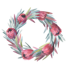 Hand drawn watercolor protea wreath - 131657529