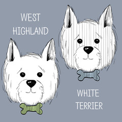 west highland white terrier scetch.Can be used like post card, background or banner - 131657583