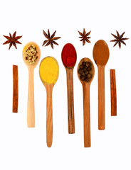 spicy fragrant spices in spoons