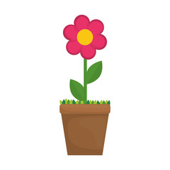 Beautiful flower plant icon vector illustration graphic design