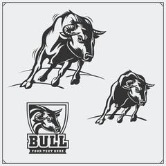 Raging bull. Vector emblems, labels and badges.