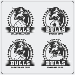 Volleyball, baseball, soccer and football logos and labels. Sport club emblems with bull.