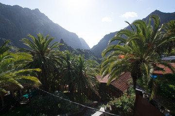 Fototapeta na wymiar Nature in Masca Village, Tenerife