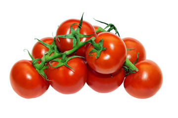 tomatoes branch on a white background