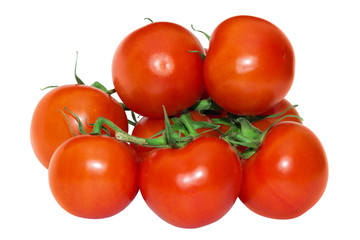 tomatoes branch on a white background
