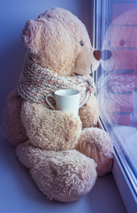 bear sitting and looking in the window with a cup