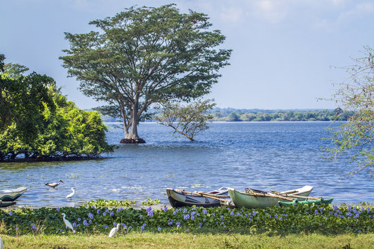 Thabbowa sanctuary in Puttalam, Sri Lanka