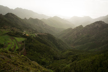 Road TF-12 in Anaga Rural Park - peaks with ancient forest on Tenerife