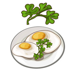 Delicious fried eggs on plate with parsley. Vector