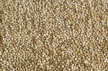 Lentils Green Texture
