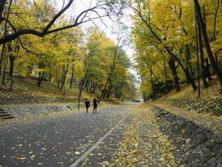 Beautiful autumn in Lazienki park