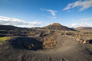 View of La Geria, the vinegrowing region of Lanzarote, Spain