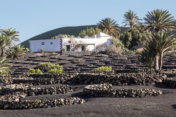 View of La Geria, the vinegrowing region of Lanzarote, Spain